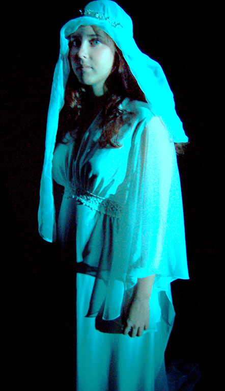 Metamorphoses 013
