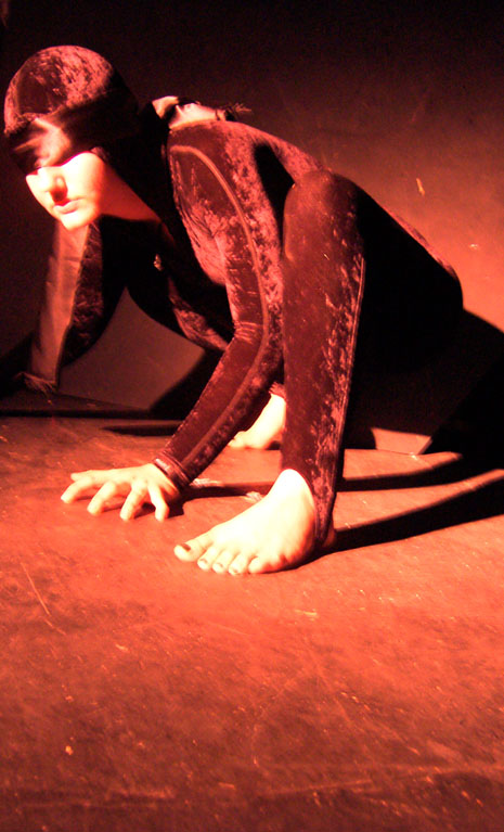 Metamorphoses 036