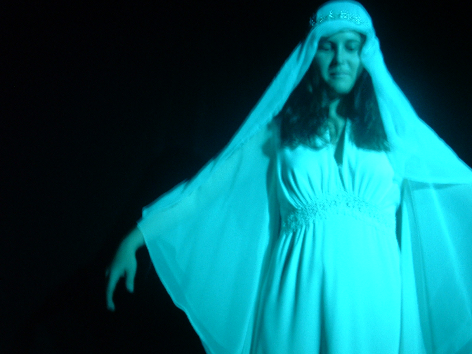 Metamorphoses 045