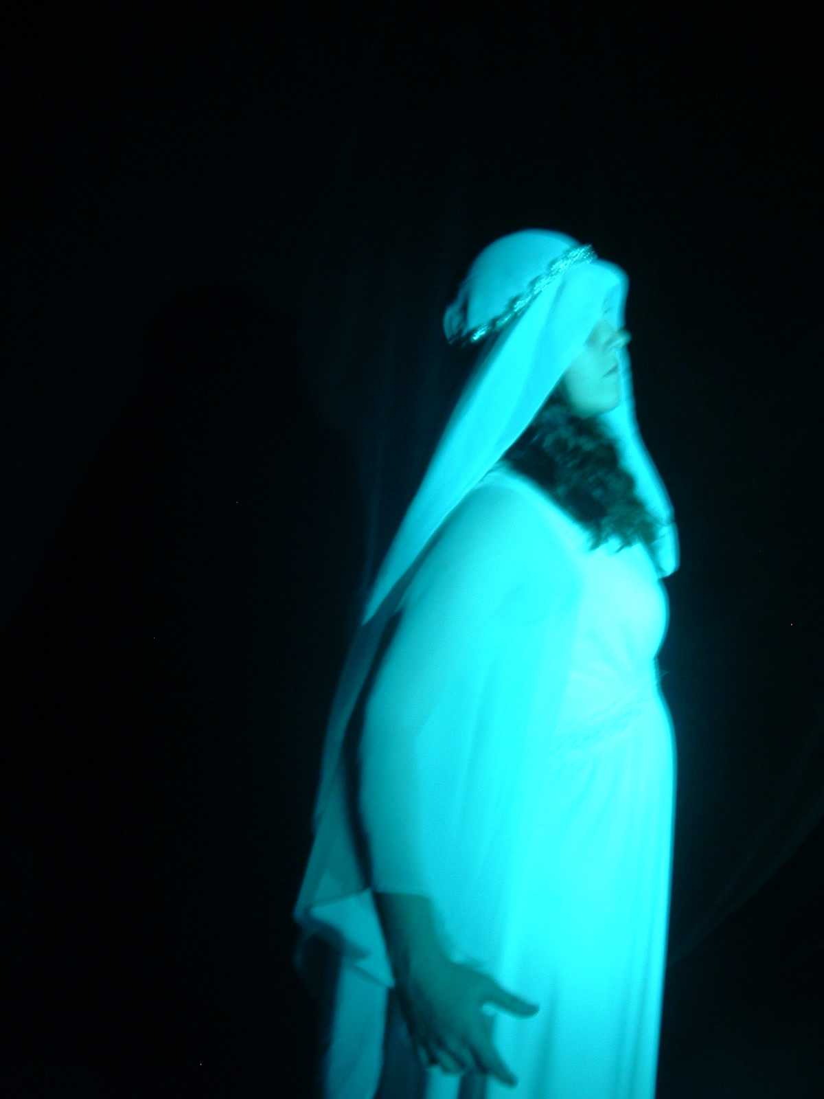 Metamorphoses 047