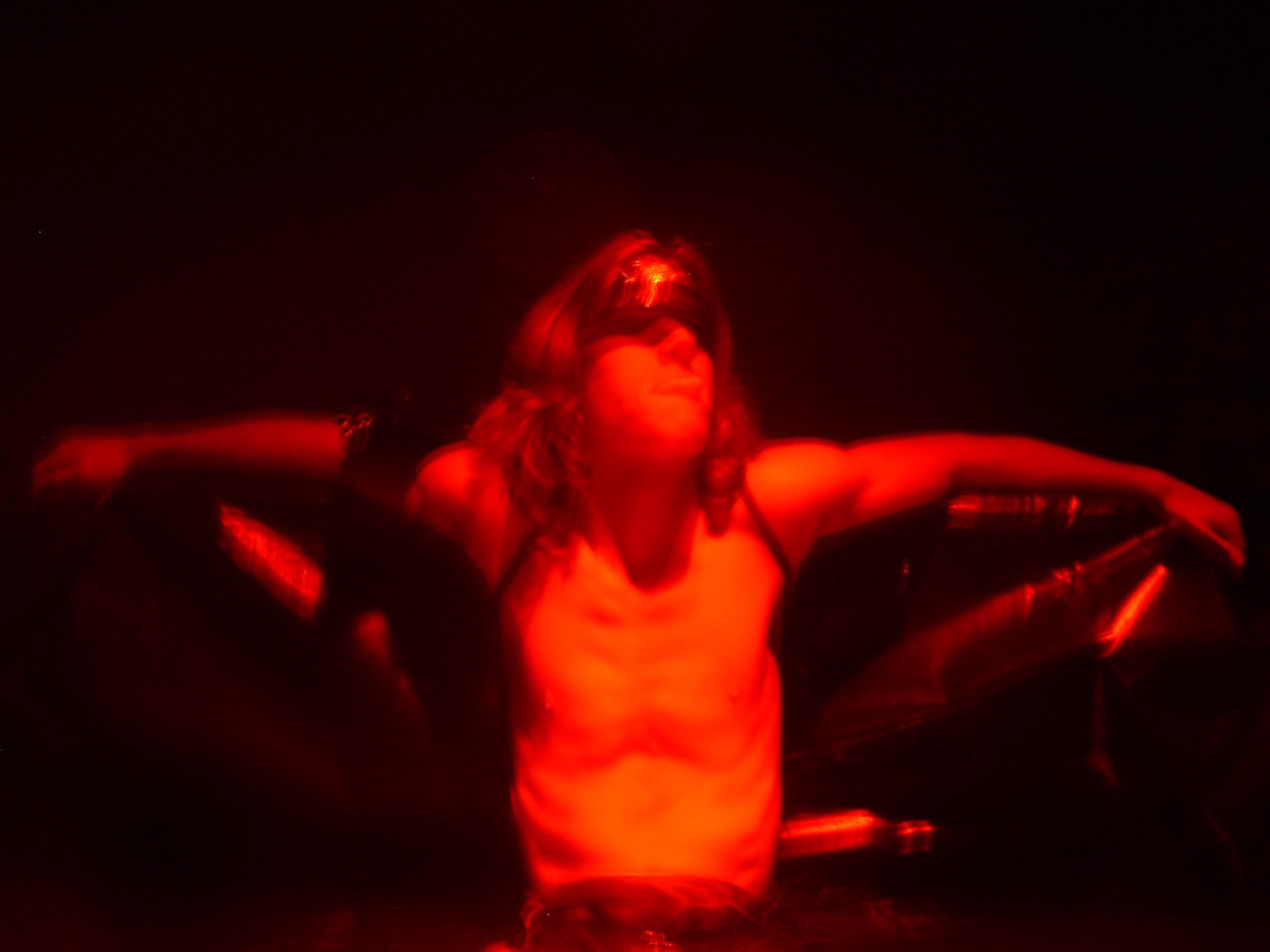 Metamorphoses 082