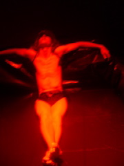 Metamorphoses 175