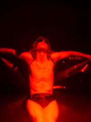 Metamorphoses 177