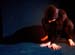 Metamorphoses 033