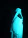 Metamorphoses 047