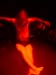 Metamorphoses 079